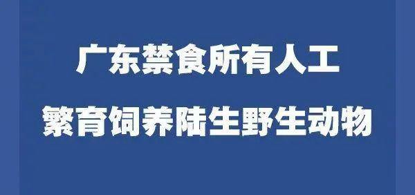 夹江最新招工信息今日更新