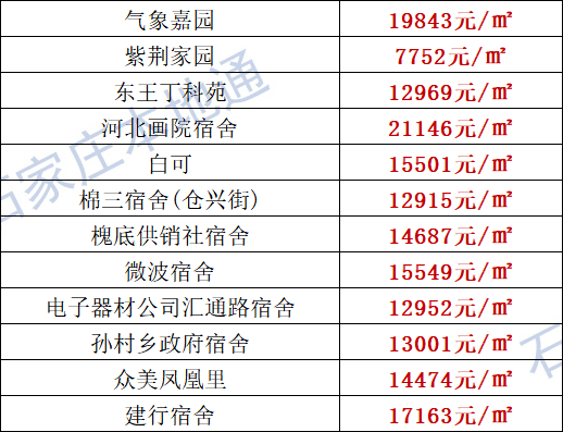 最新套竹鸡视频套阵法深度解析与应用指南