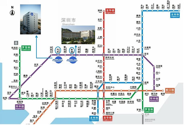 深圳地铁最新全图下载，便捷出行，一图掌握深圳地铁网络