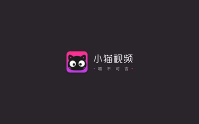 探索猫咪影音，最新版本下载指南与介绍