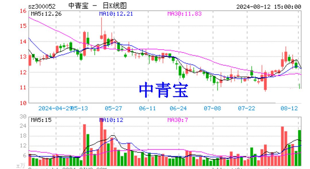 南风草木香 第4页