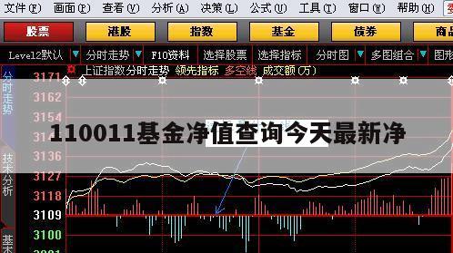 今日最新净值揭秘，全面解析110010基金净值查询信息