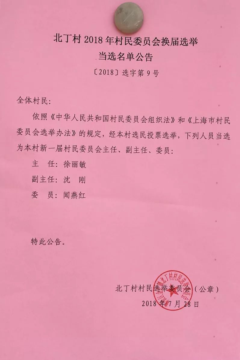 红石湾村委会人事任命，激发新动能，共塑未来新篇章