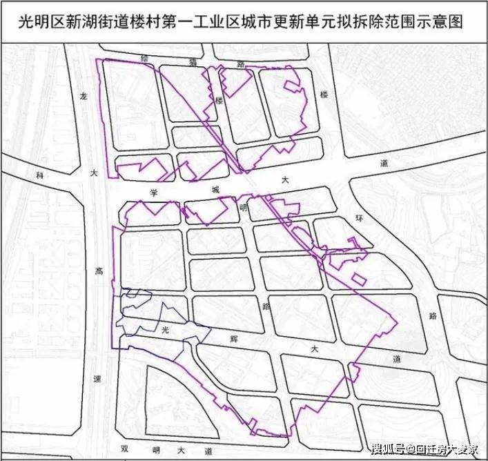 新洋街道交通新闻更新