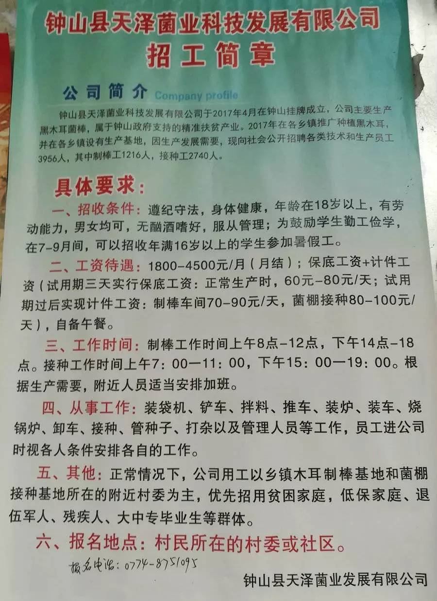 赤来村最新招聘信息全面解析