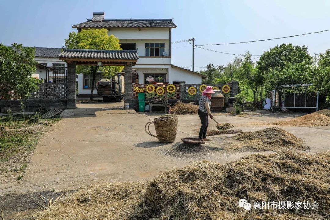 辘辘村民委员会最新项目，乡村振兴的新引擎