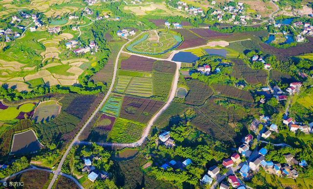 长茅岭乡未来发展规划揭晓，塑造乡村新典范的蓝图