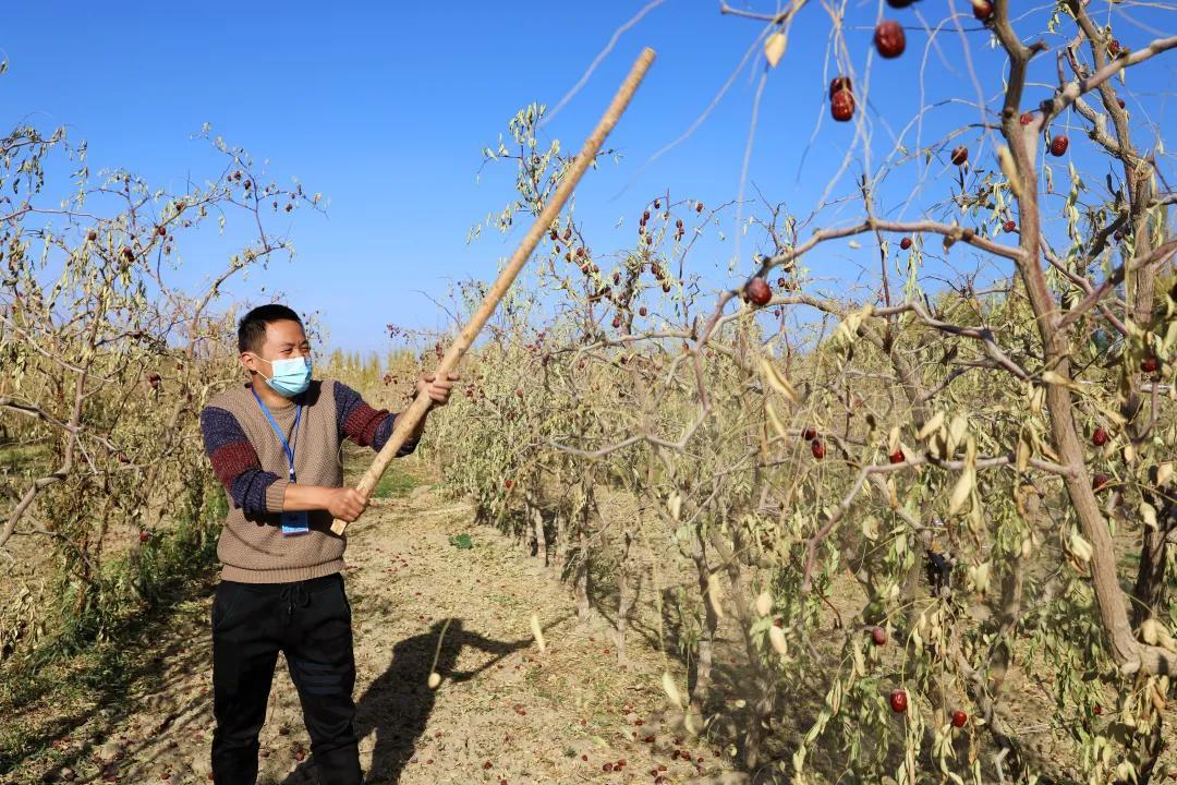 且末县应急管理局最新招聘信息解读与概述