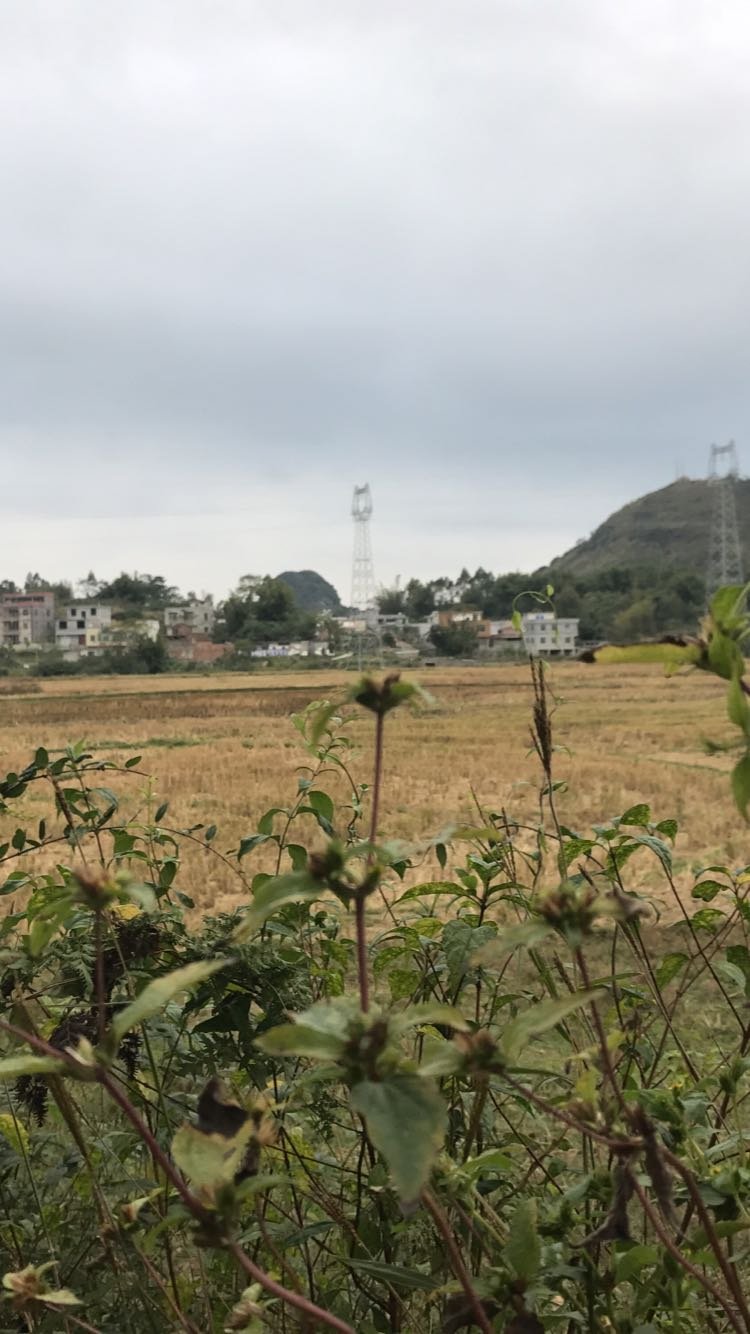 马岭山镇天气预报更新通知