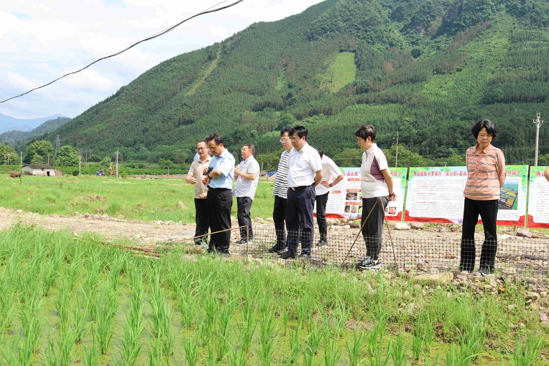 灌阳县农业农村局最新发展规划概览