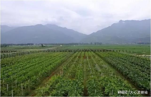 新立良种繁育场天气预报更新