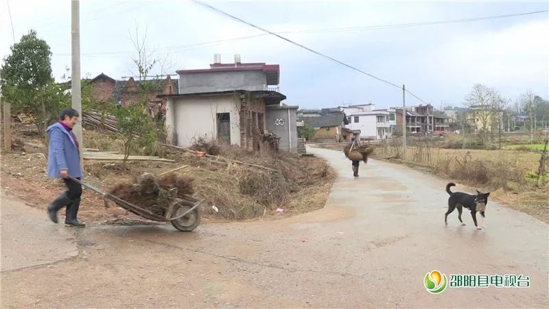 石虎村新项目，乡村振兴新动力启航