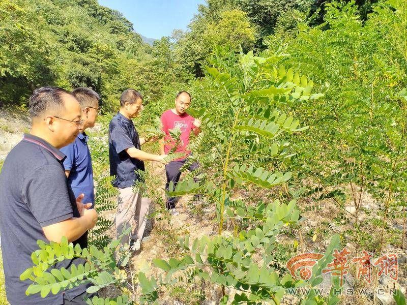 市中区审计局领导团队新阵容，引领与担当的力量