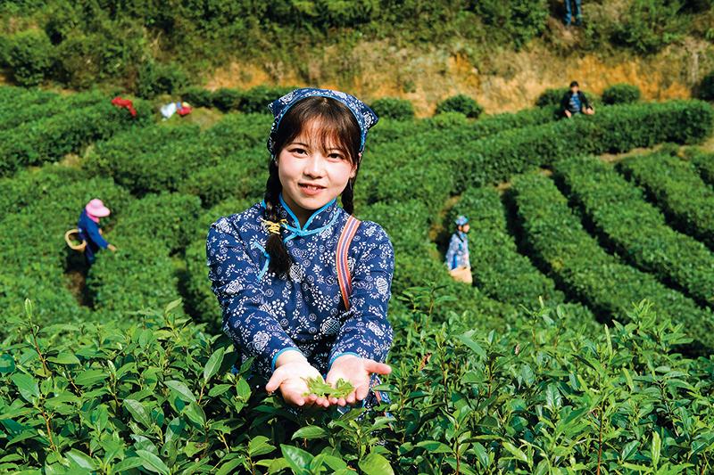 岛屿失梦 第2页