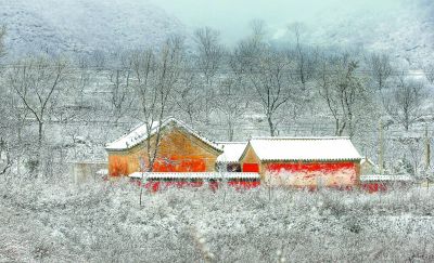 洼雪村交通最新动态报道