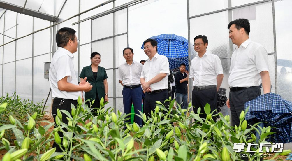 浏阳市农业农村局领导团队全新亮相，未来展望与展望