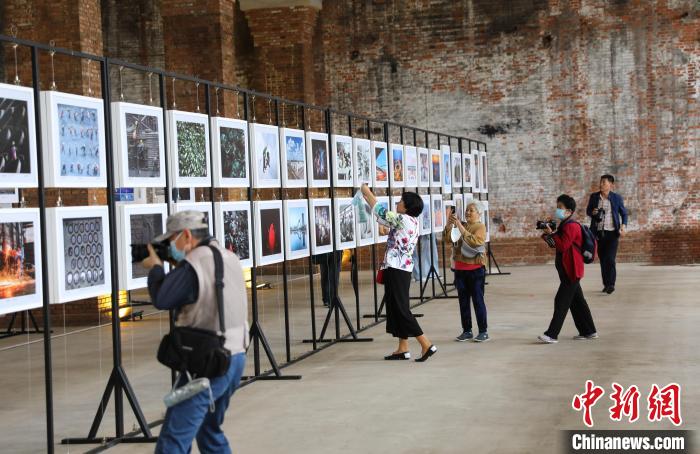 沈阳市劳动和社会保障局最新发展规划概览