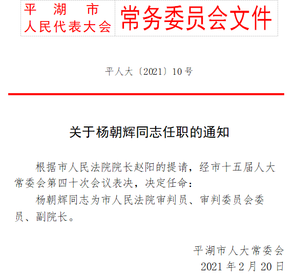 三山村委会人事任命推动村级治理迈上新台阶