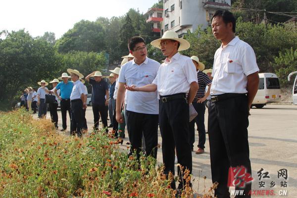 安乡县自然资源和规划局新项目助力地方可持续发展推进