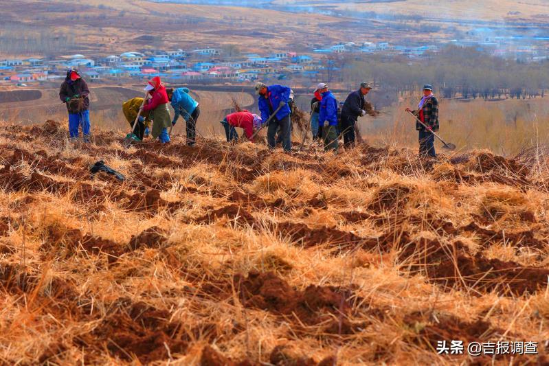 胡力吐蒙古族乡最新招聘信息汇总