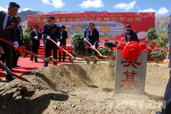 雄玛乡新领导团队引领下的崭新气象