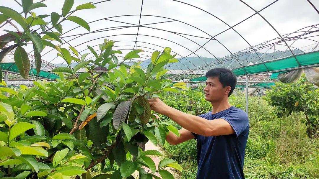 永定区退役军人事务局重塑服务生态，最新项目启动