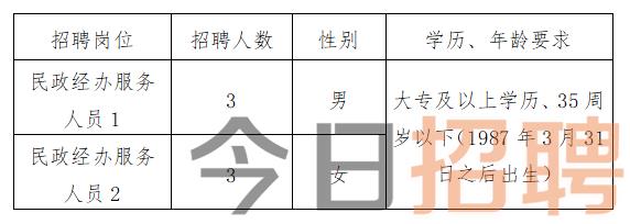 2024年12月16日 第8页