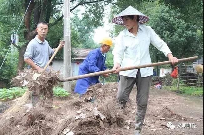 枞阳县教育局未来教育发展规划蓝图揭晓