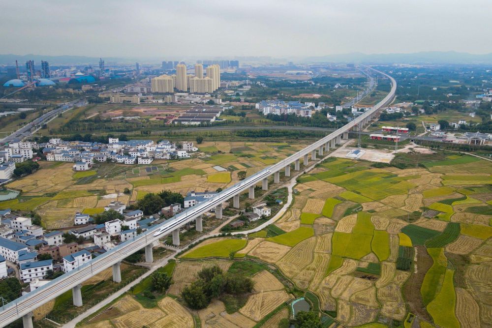 八里河镇交通新动态，发展助力地方繁荣