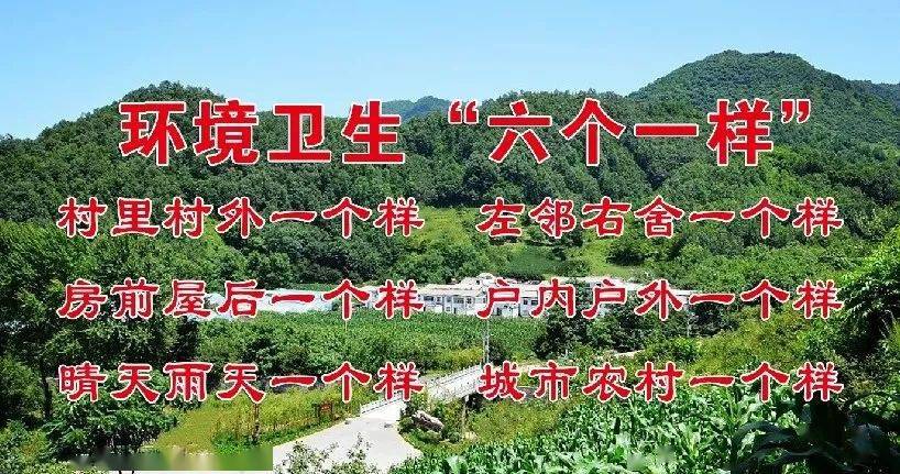 宜兴市大贤岭林场最新招聘启事概览