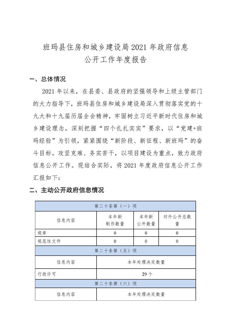 班玛县数据和政务服务局最新发展规划深度探讨