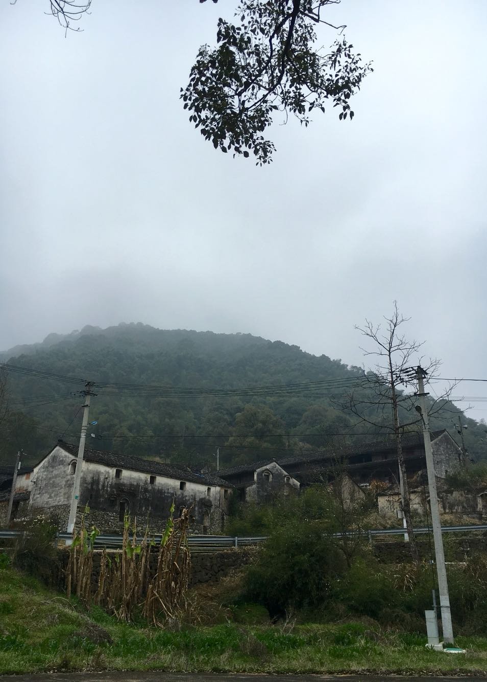 归湖镇天气预报更新通知